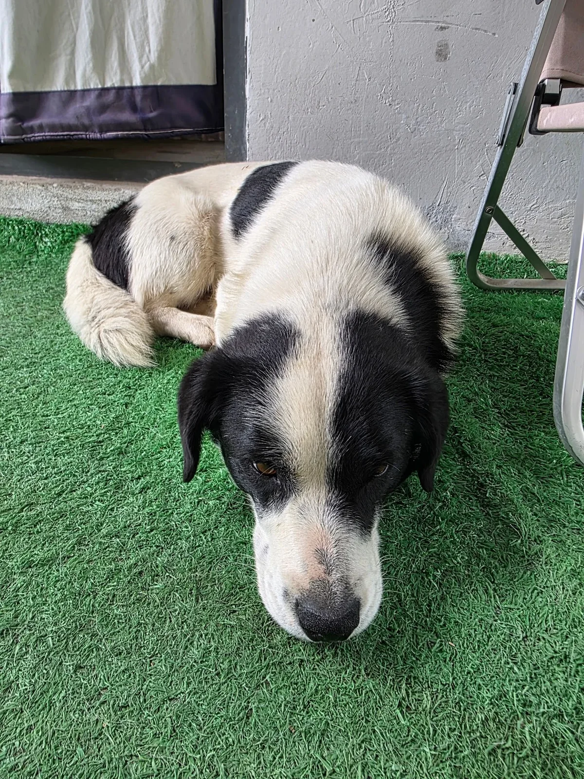 进入高原 · 原始照片 25