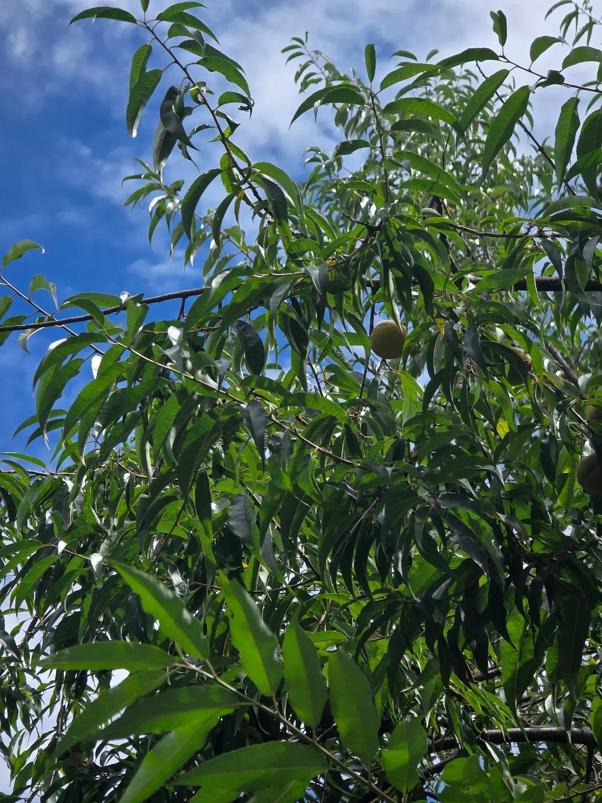 进入高原 · 原始照片 36